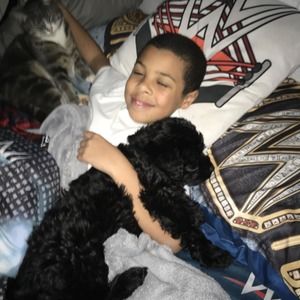 Meet your Posher, Gary